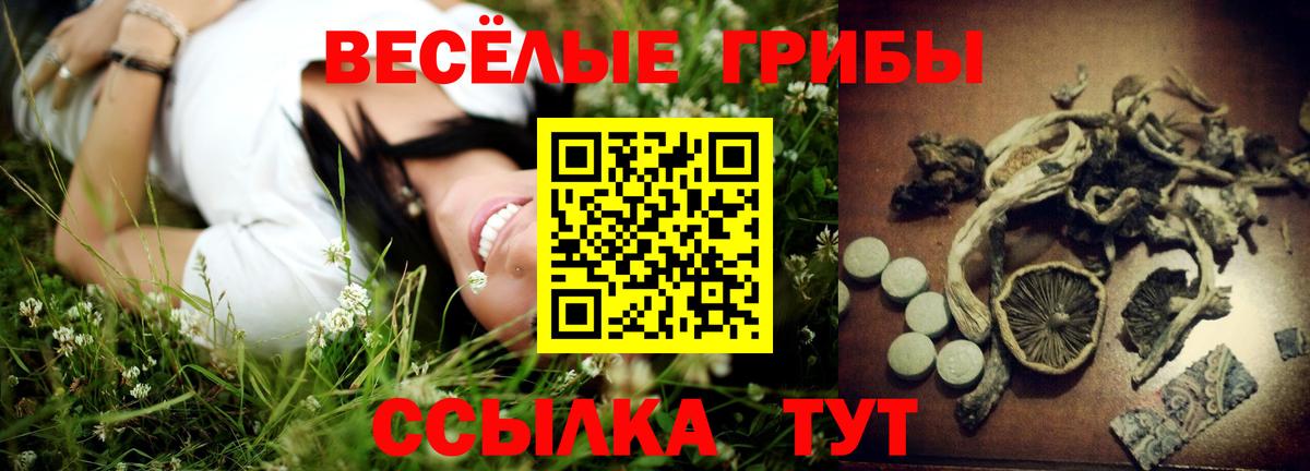 дарнет шоп  Вход с VPN  Рославль  Галлюциногенные грибы GOLDEN TEACHER 